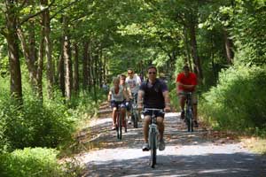 bikers on trail