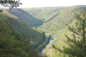 Pennsylvania Grand Canyon Vista