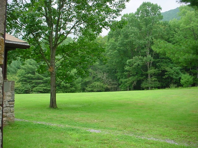 Ponderosa Lawn